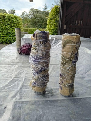Prozess der Natur